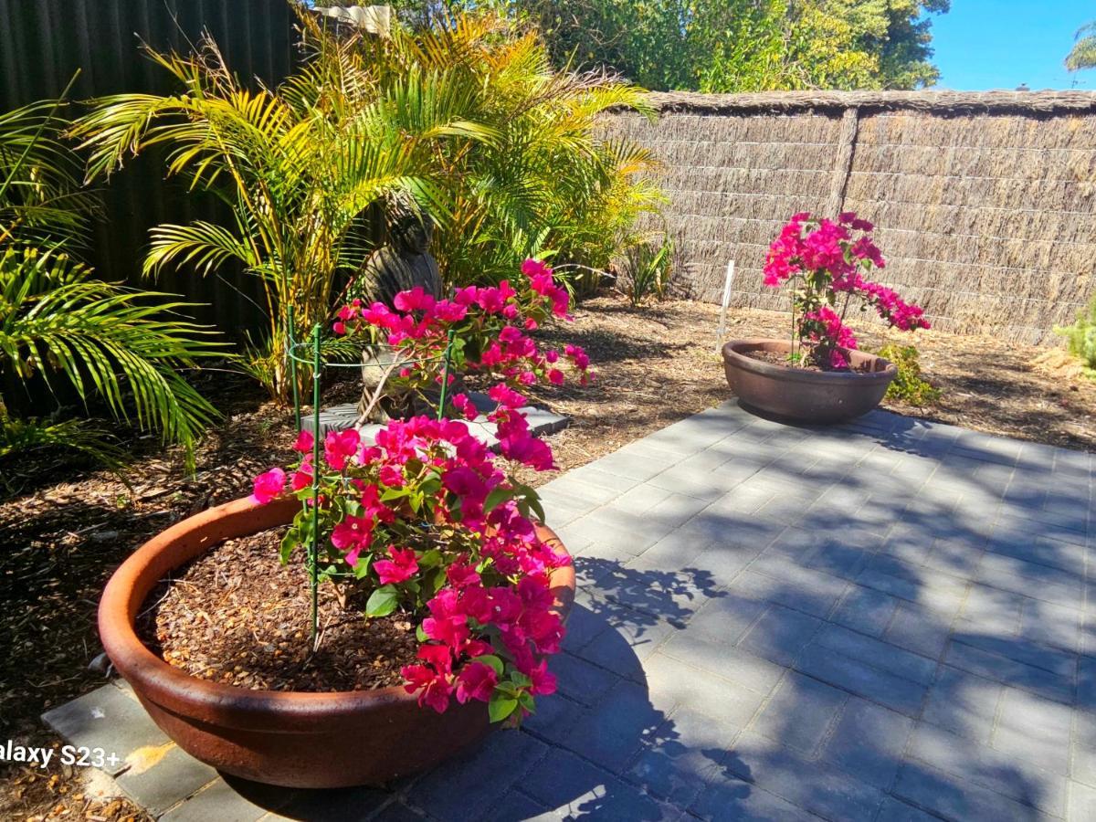 פרת'' Tranquil Gumnut Cottage - Close To Airport מראה חיצוני תמונה